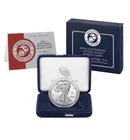 250th Anniversary US Marine Corps American Eagle One Ounce Silver Proof Coin