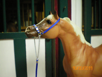 Jaapi Royal Blue/Silver slip/halter #1 - CM fit Breyer CLASSIC sized Arabian