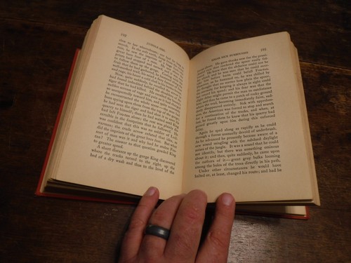 Jungle Girl Edgar Rice Burroughs 1932 Hardcover Grosset & Dunlop illustriert - Bild 10 von 20