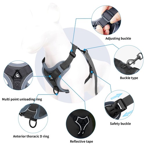 Juego de arneses y correas para gatos, correa retráctil automática para perros - Imagen 6 de 6
