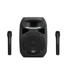 6408HH 8" 50W 2 Channel Battery Powered Wireless Portable PA System 2 Handheld