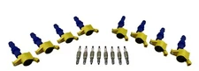 8 Ignition Coil Packs & Spark Plugs for 04-08 F150 F250 F350 5.4L TRITON 4.6L V8
