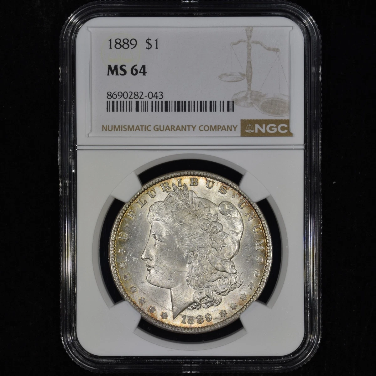 1889年 モルガンダラー MS 64 MS 64 Graded 1889 Year Morgan US Dollars (1878-1921) for sale | eBay