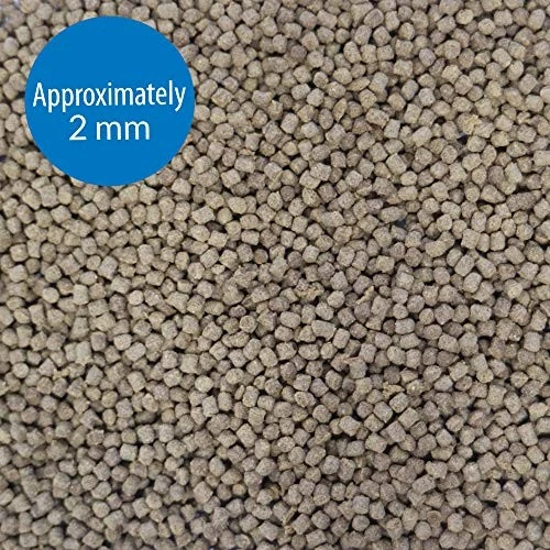 GRÁNULOS DE PECES DORADOS API Contenedor de 4 onzas para peces, mediano, modelo: 833B Foto 3 de 4