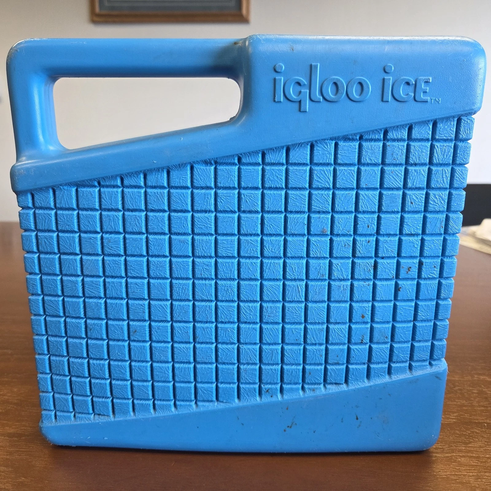 Igloo Blue Ice Pack 10x10x2 Reusable Can Cooler Refreeze #9780 Made in USA Vtg