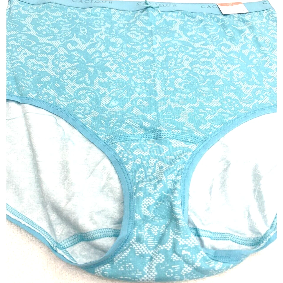 全新带标签 Lane Bryant Aqua 蓝色和白色高腰棉质内裤 18 20 1X — 第 3/4 张图片