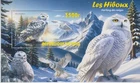 Birds Owls Mali Stamped 10012