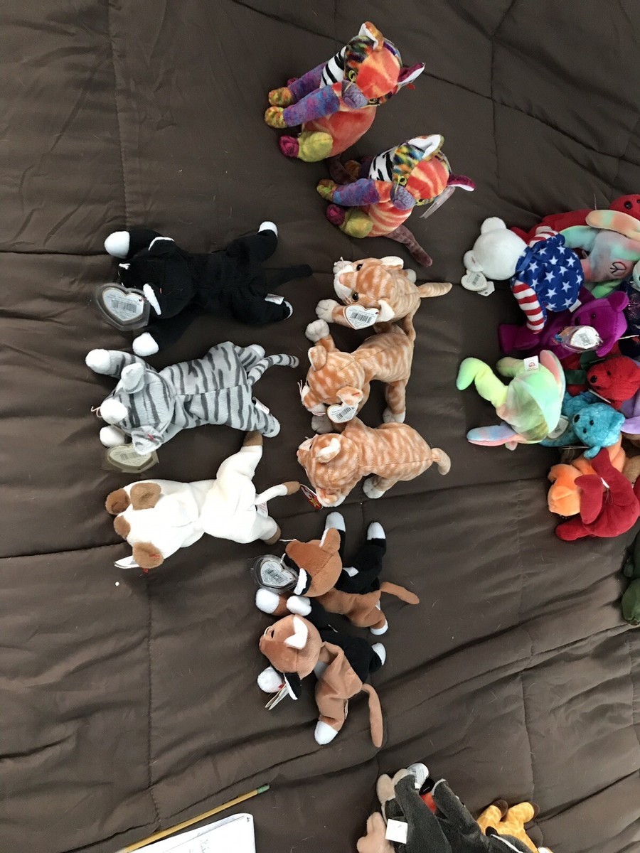 Beani Baby Collection | eBay