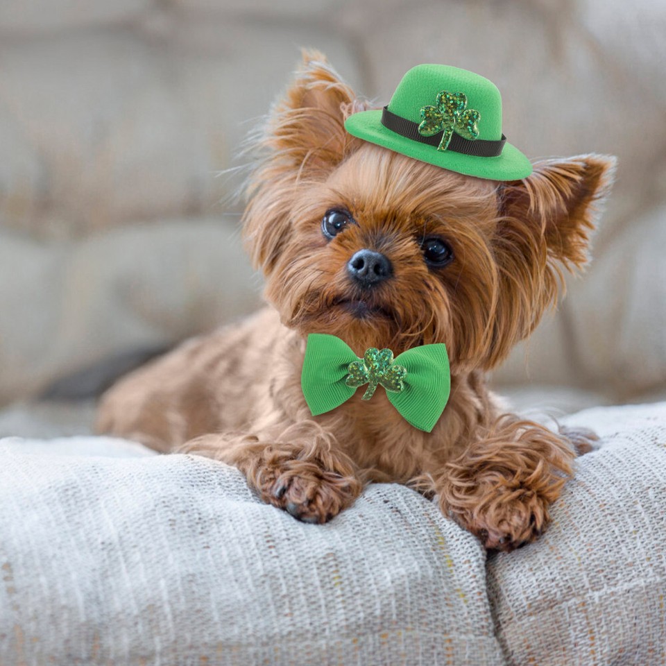 Saint Patrick's Day Pet Decorations Pet Irish Dog Bow Collar Pet Hat