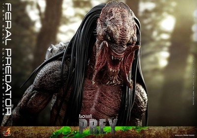 1/6 Scale Prey Feral Predator Figure Hot Toys TMS114 912662 for