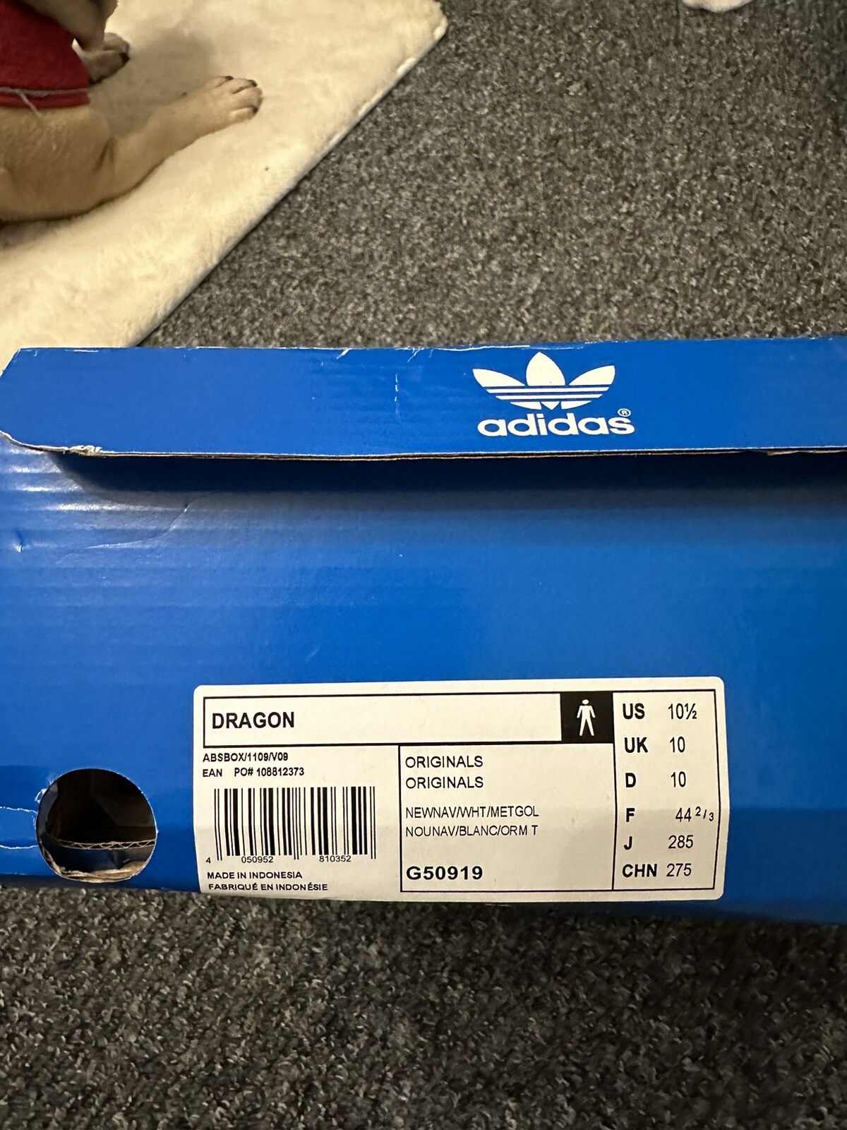 adidas dragon size