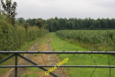 Foto 6x4 Aufgeräumte Spur vorbei an einem Bohnenfeld zu einer unbenannten Plantage vor Waith c2014