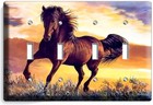 Bild 15 von 34