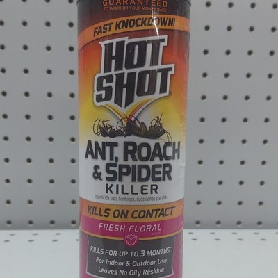 Hot Shot Ant Roach Spider Killer Spray Indoor & Outdoor Insect Control