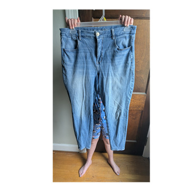 American Eagle Outfitters Curvy High Rise Jegging The Dream Jean Blue Stretch
