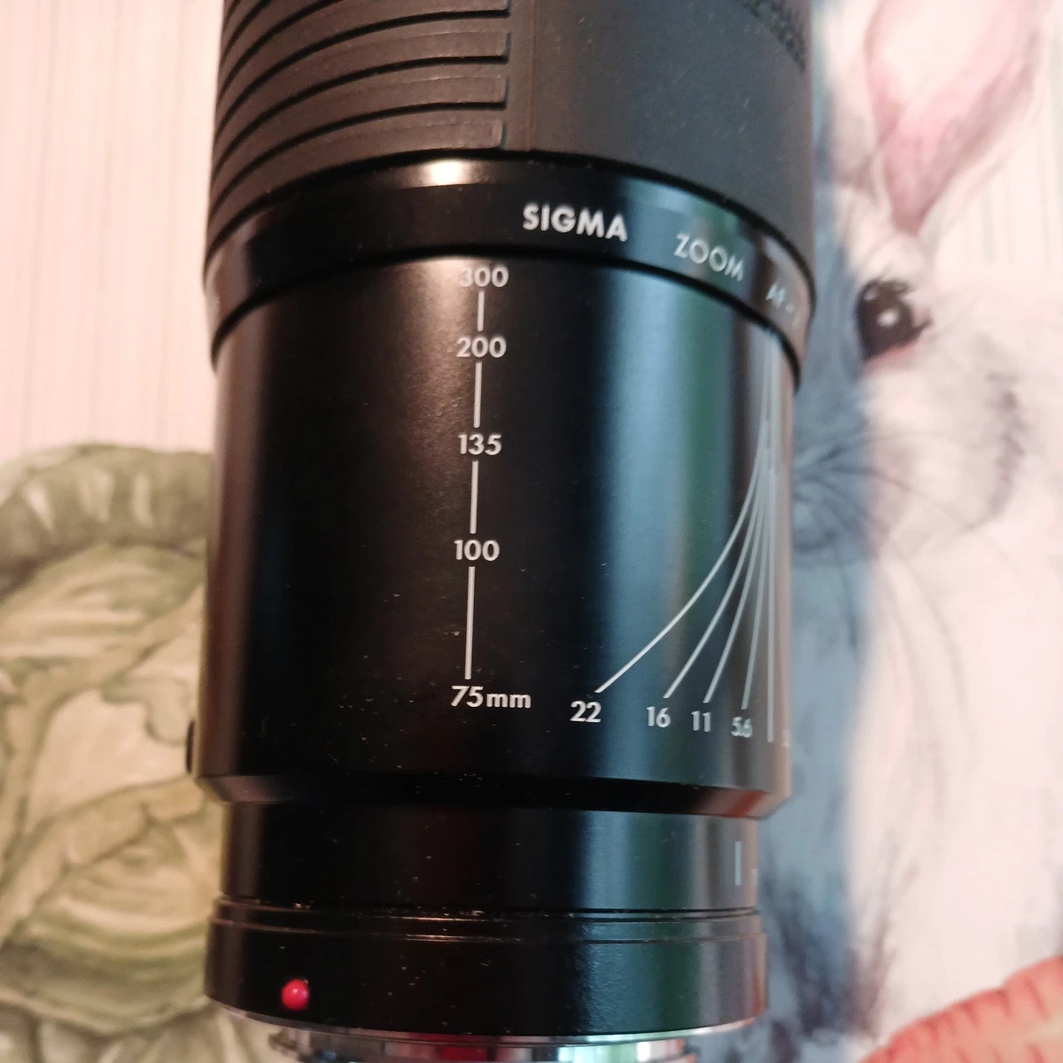 Sigma Camera Lenses 75-300mm Focal for sale | eBay