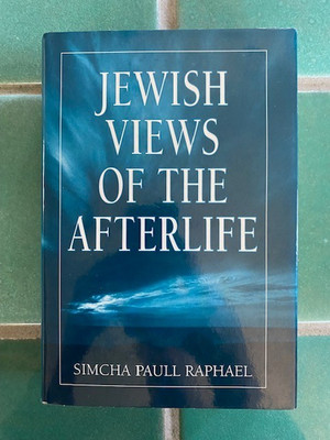 Jewish Views of the Afterlife by Simcha Paull Raphael 1994 Hardcover 1st HC DJ