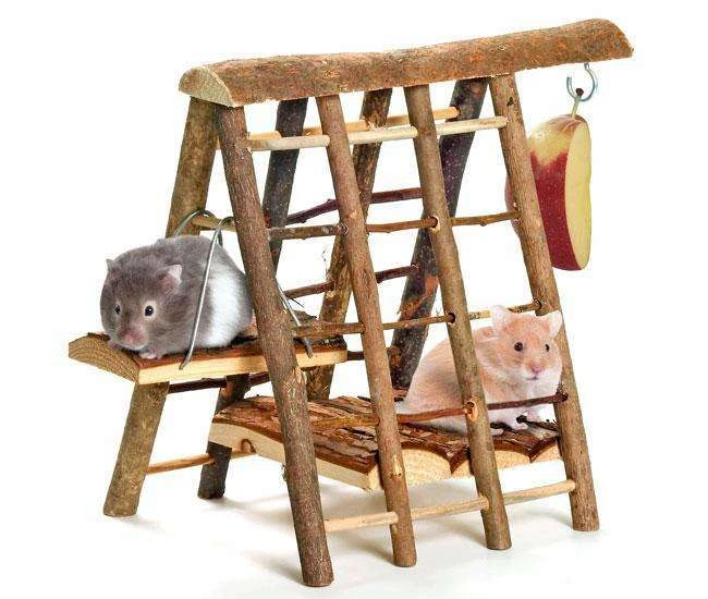 Karlie Klettergerüst aus Naturholz für Hamster Mäuse Spielplatz mit Leiter