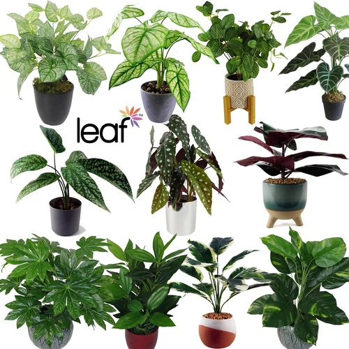 Artificial Plants Realistic Potted Foliage Display Home Office by Leaf Design UK