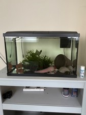Love Fish Temperate Aquarium 56 Litre, lightly used, filter & lights included