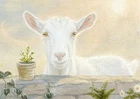 ACEO orig. pastel drawing white goat with flower by Anna Hoff Germany