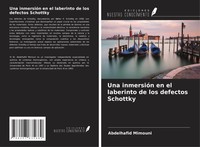 Una InmersióN En El Laberinto De Los Defectos Schottky Abdelhafid Mimouni Buch