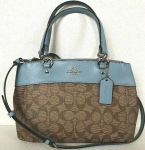 mini brooke carryall coach