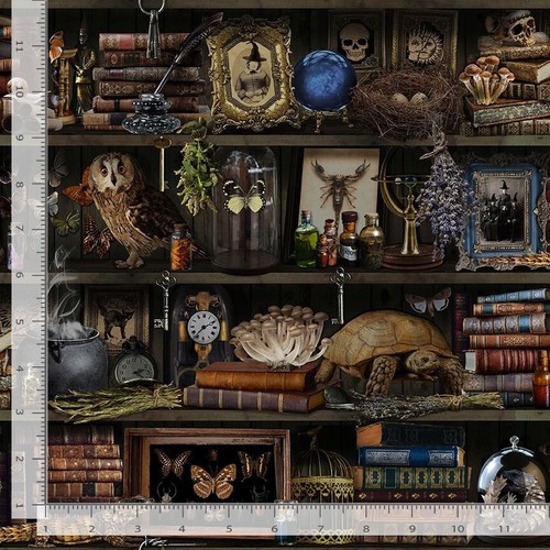 Witch Apothecary Book Shelf Fabric By The Yard Cotton Timeless Treasures CD2877