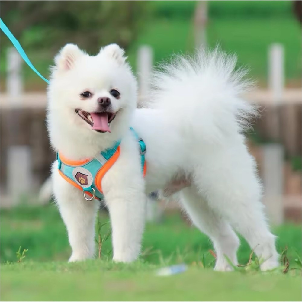 Dog Harness No Pull Reflective, S/M/L for Walking and Training