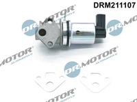 Dr.Motor Automotive Agr-Ventil FüR VW Golf IV 1J1 1.4 16V 1.6 Polo 9N_ 6N2 Audi