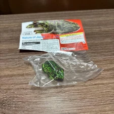 NATURE OF JAPAN Japanese creatures 01 Moria tree frog