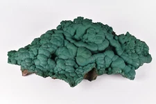 Natural Botryoidal Malachite from Congo  19.2 cm   # 20191