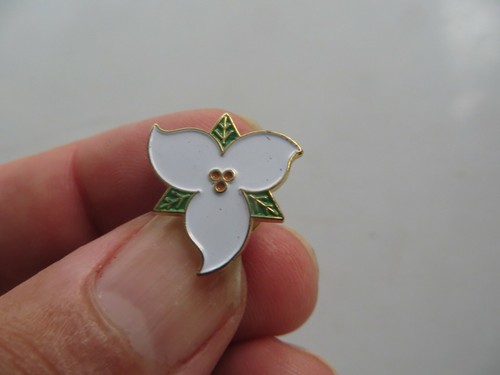 CANADA ROSE,,STABILITÄTSWAPPEN KANADISCHES SOUVENIER ANSTECKNADEL HUTNADEL