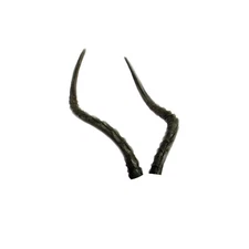 Delta Mckenzie African Impala Pro 3D Target Replacement Horns