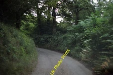Photo A2 North Devon : Springhill Down Hill Mogworthy A small country la c2015