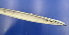 Neptun#1544 Italy Light Cruiser Colleoni Metal Ship Mini 1/1250 Scale Germany — photo 6