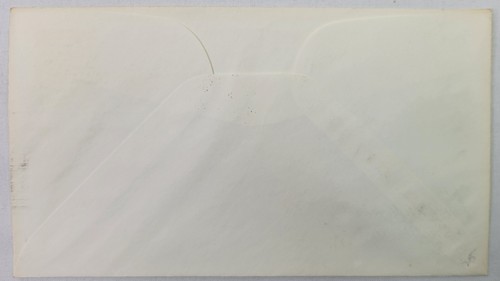 1. Tag Ausgabe Stempel & Umschlag - Verschönerung Amerikas - Bild 2 von 2