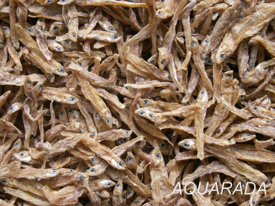 AQUARADA 500ml Anchovies Trockenfische Stinte Fischfutter Katzenfutter Hundefutter