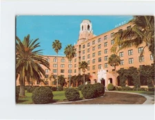 Postcard Main Drive At The Vinoy Hotel St Petersburg Florida