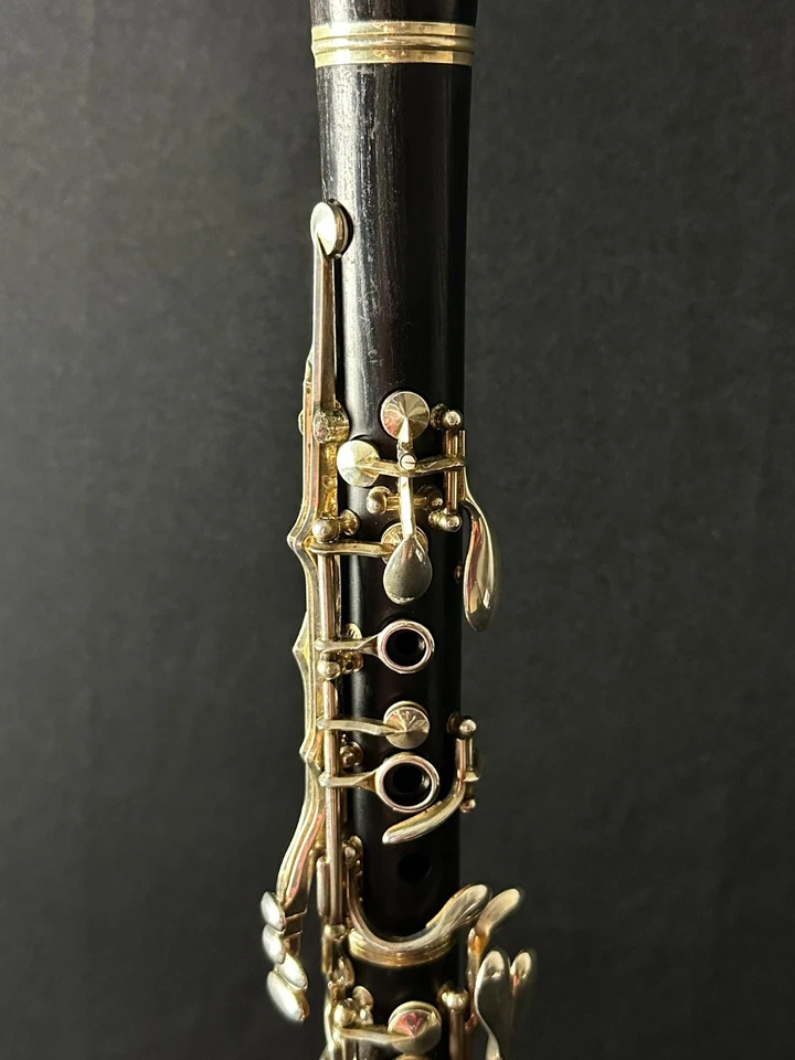 Clarinete de madera profesional Buffet Crampon R13, hecho en Francia Foto 3 de 4
