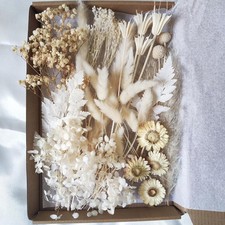 DIY Natural Dried Flowers Kit for Crafts - Box of Multi-Color Dried Flower Ki...