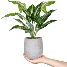 Der Rose 16'' Fake Plants Artificial Potted Greenery Faux Plants for Office Desk