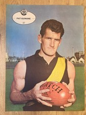Heinz Vintage Football Poster , Pat Guinane Richmond
