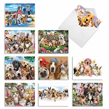 10 Assorted Thank You Note Cards Pack - Off The Leash