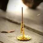 第 6/11 張圖片