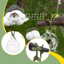 Araignées sauteuses - Décoration de terrarium pour l'exploration et