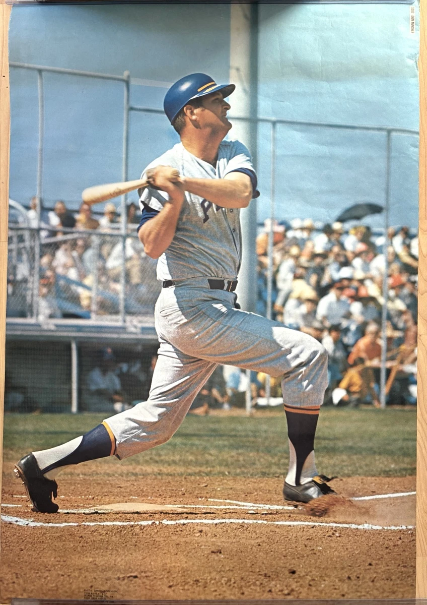 25+ Baseball 24x36in. Size Vintage Sports Posters for sale