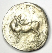 Greek Lucania Laus AR Stater Man-Headed Bull Coin 480-460 BC - Certified NGC VF