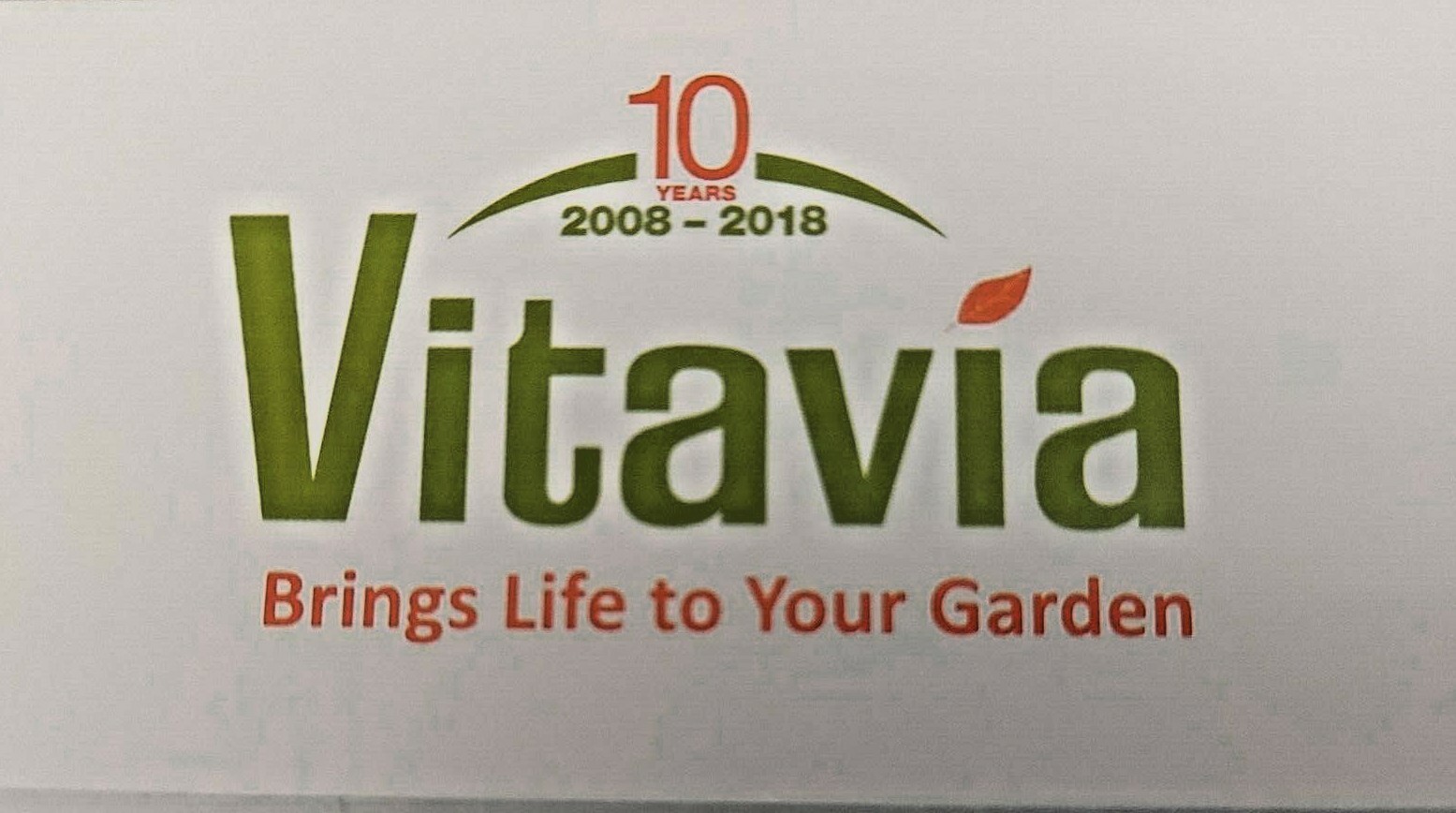 Foto 13 di 16