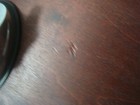 Picture 21 of 22